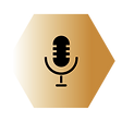hexagon wix icons yellow (1).png